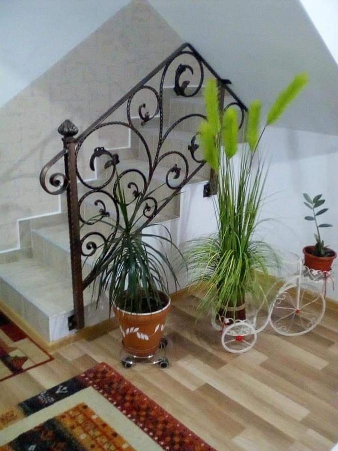 Vila Darian Villa Buşteni Eksteriør billede