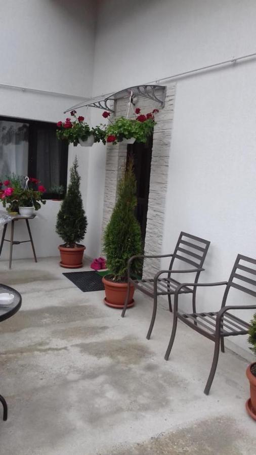 Vila Darian Villa Buşteni Eksteriør billede