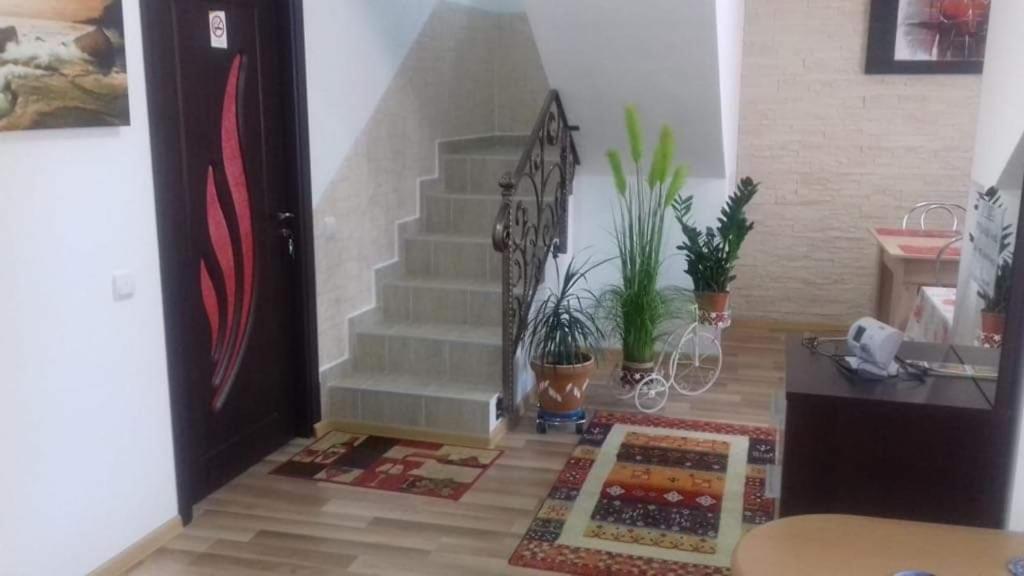 Vila Darian Villa Buşteni Eksteriør billede