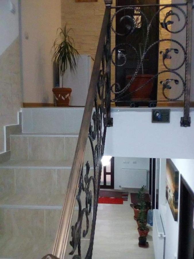 Vila Darian Villa Buşteni Eksteriør billede