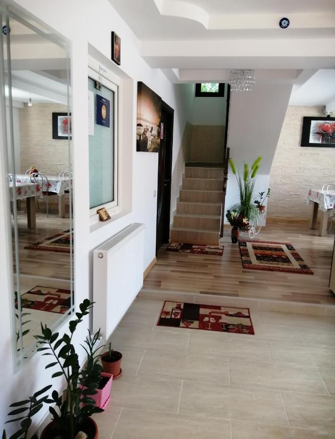 Vila Darian Villa Buşteni Eksteriør billede