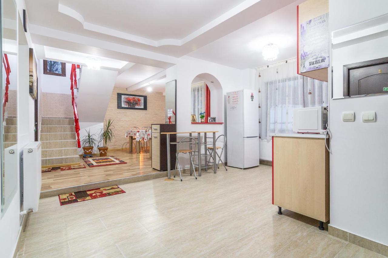 Vila Darian Villa Buşteni Eksteriør billede